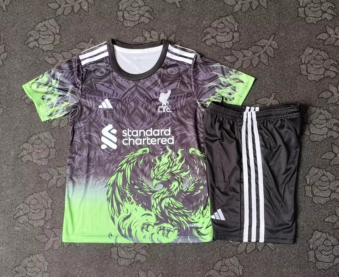 2025/26 Liverpool Special Edition Gray and Green Football Jersey  Kids Size