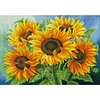 (US Only)Full Embroidery Beads Printed 11CT Sunflower Cross Stitch Kit Art Decor 65x50cm