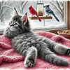 Cat-Full peinture diamant ronde-40 * 40cm