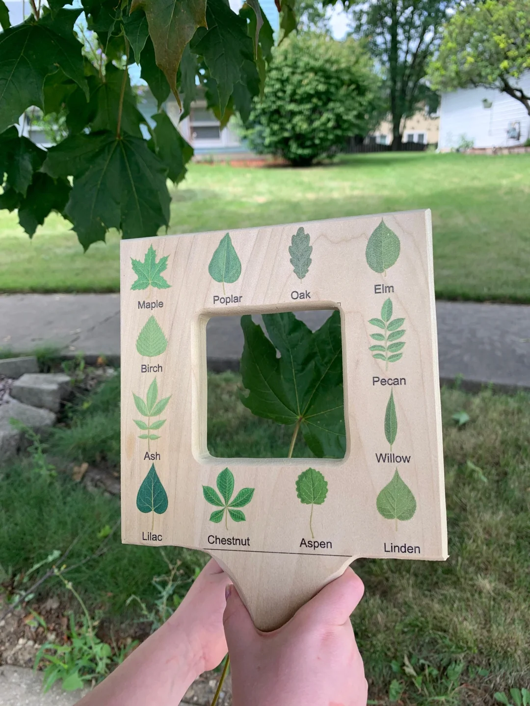 49% OFF🔥Nature Guide Finder