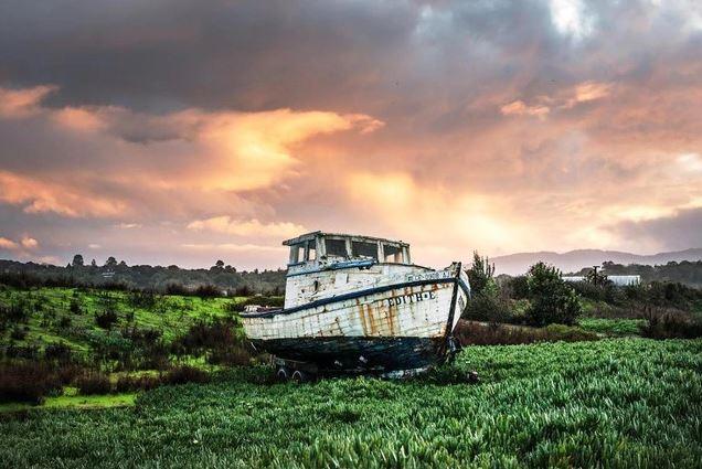 

Abandoned Boat in a Field – Paint By Numbers - 40*50CM, 501 Original