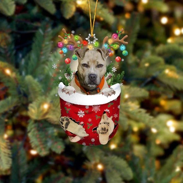 Pitbull 2 In Snow Pocket Christmas Ornament.