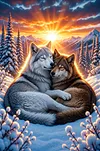 Luxury AB Velvet Diamond Painting Kit - Wolf
