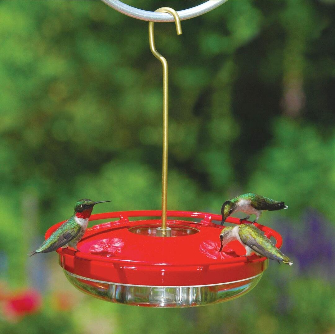 🐦Hanging Hummingbird Feeder