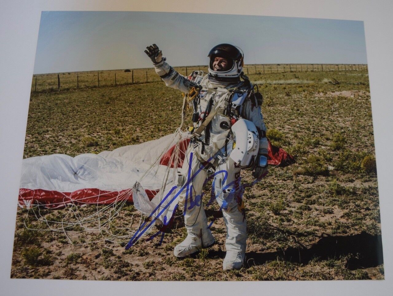 Felix Baumgartner Signed Autographed 11x14 Photo Poster painting Skydiver Basejumper COA VD