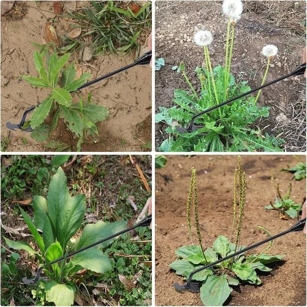 Garden Weed Pulling Tool Uprooting Weeding Tool（1 pc）