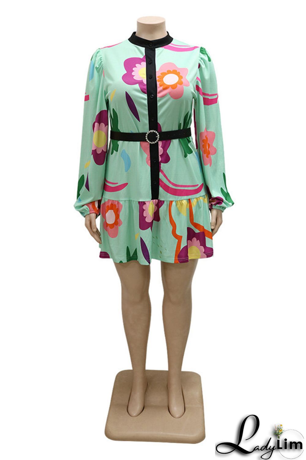 Green Fashion Casual Print Patchwork With Belt O Neck Long Sleeve Plus Size Dresses