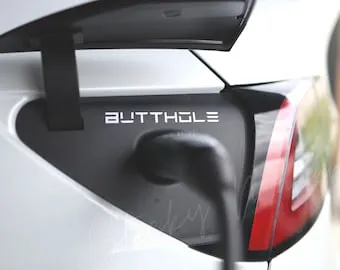 Tesla Butthole Sticker | Set of 2 | Butt Hole | Tesla Decal | Tesla ...