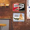 2pcs - Girl  - Vintage Metal Signs(12*16Inch)-Pin-up-girls
