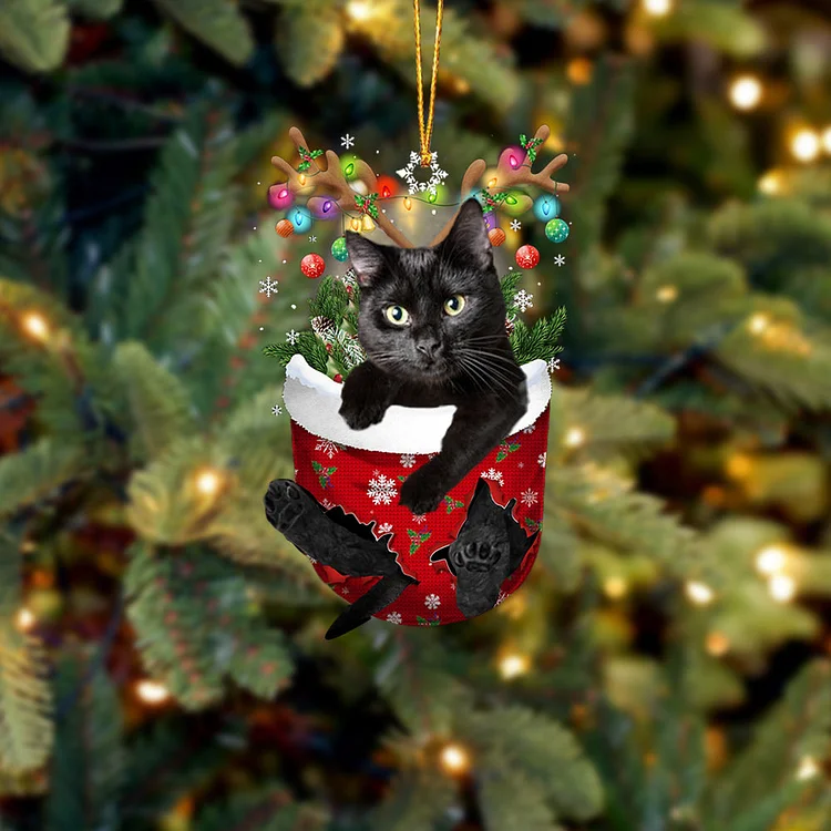 Black Cat 2 In Snow Pocket Christmas Ornament