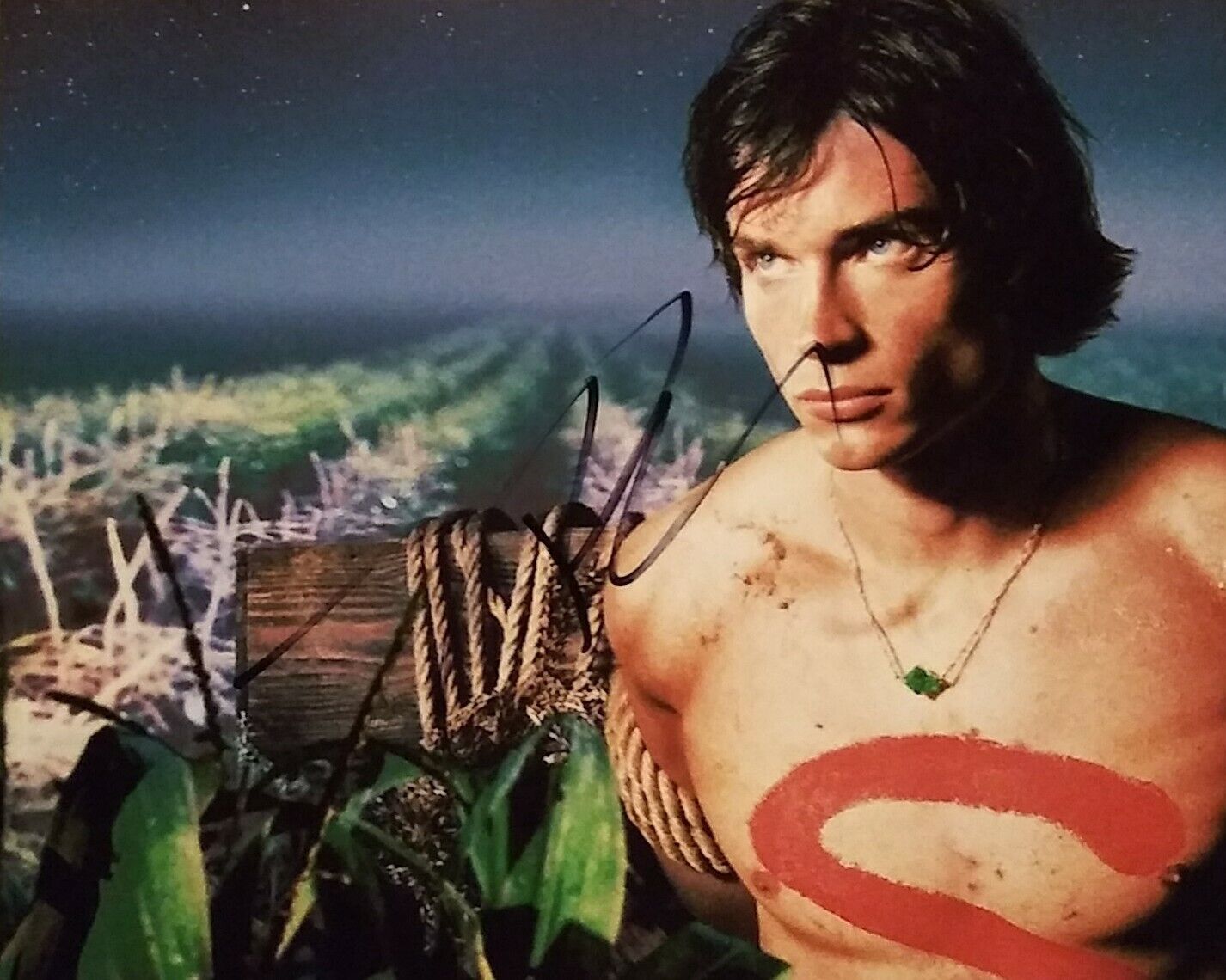 Tom Welling signed 8x10