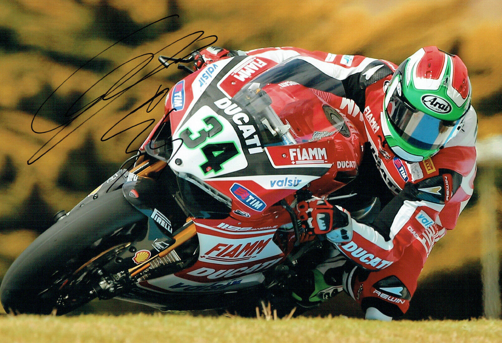 Davide GIUGLIANO SIGNED Autograph WSBK DUCATI Rider 12x8 Photo Poster painting B AFTAL COA