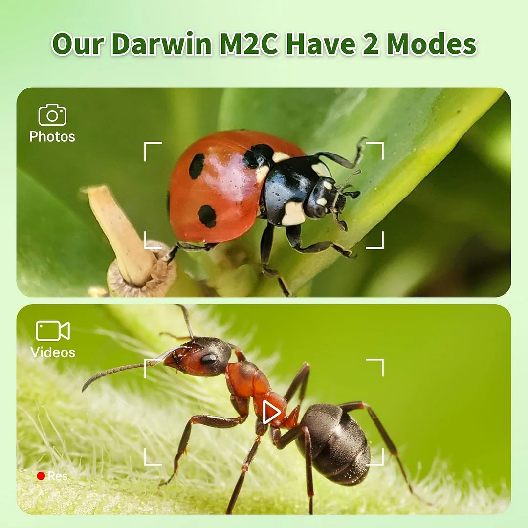 Kids Microscope 1000X with 4K Screen, Portable Science Kit with Slides for Kids Ages 4-12, Rechargeable Digital Handheld Pocket Microscope (Green)