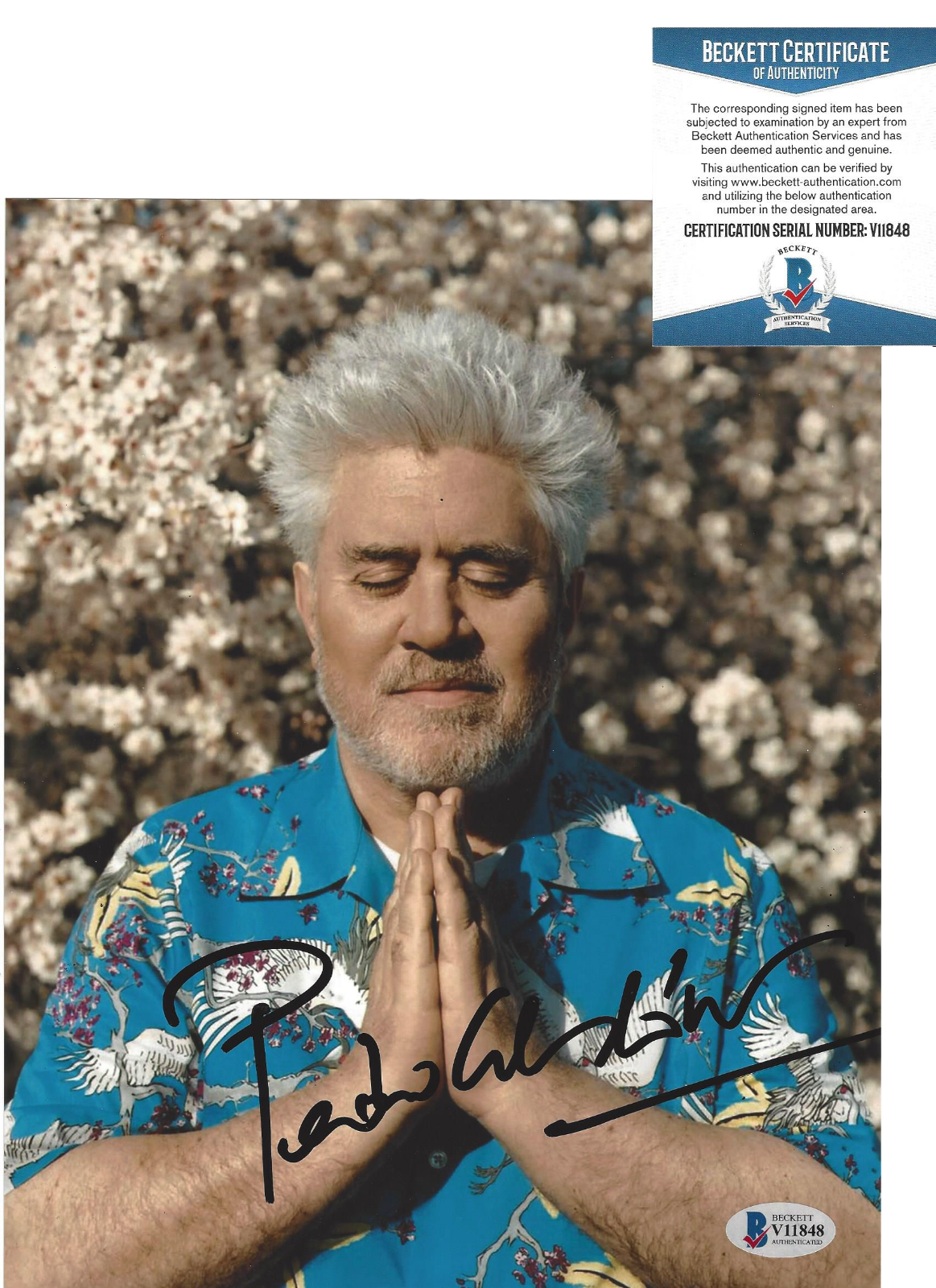 DIRECTOR PEDRO ALMODOVAR SIGNED 'PARALLEL MOTHERS' 8x10 Photo Poster painting BECKETT COA BAS