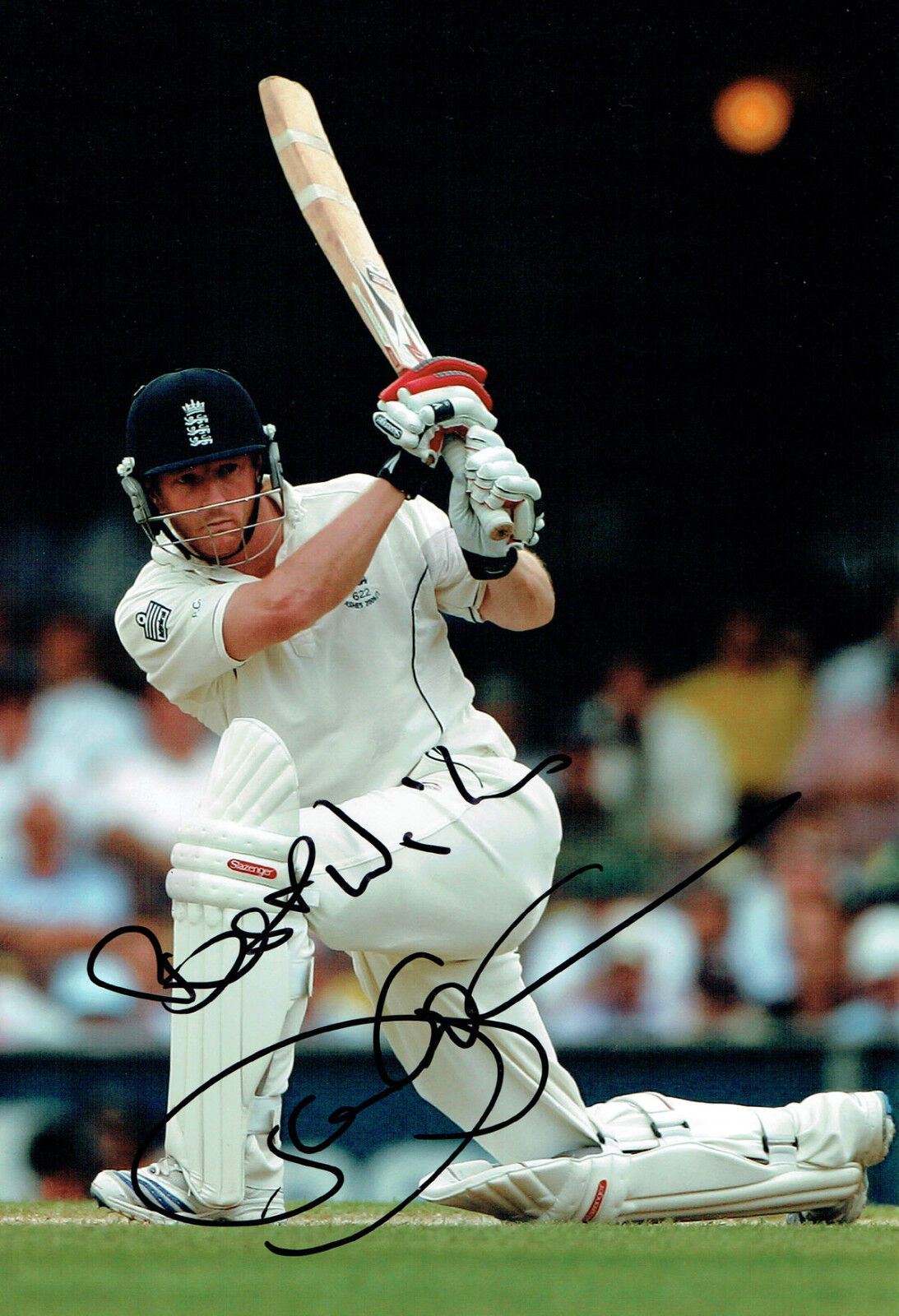 Paul COLLINGWOOD Signed Autograph 12X8 England Cricket Photo Poster painting AFTAL COA