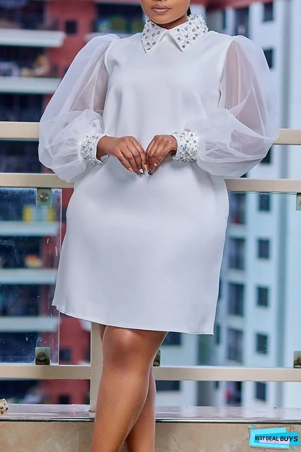 Organza Lantern Sleeve Mini Dress