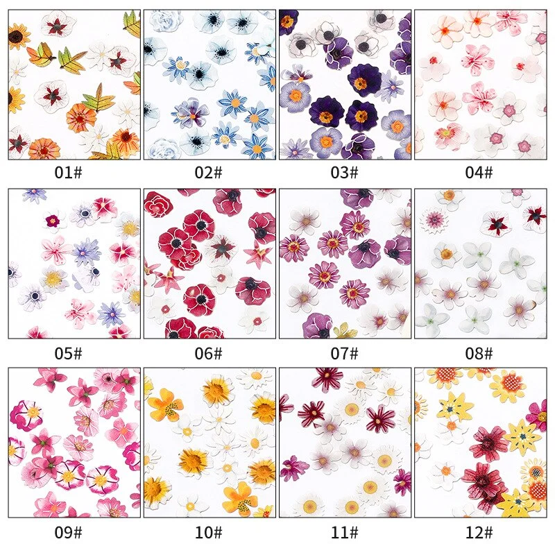 2021 New Autumn and Winter Color Flowers Wood Pulp Nail Stickers 12 Kinds of 3D Small Daisy Fashion Nail Art DIY Accessories