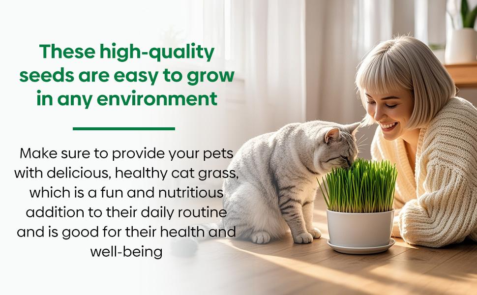 Grow Fresh Cat Grass Seeds at Home! Non-GMO Wheat & Oat Seeds Mix, USA-Grown, High Germination – Perfect for Indoor Cats