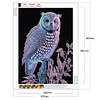 >SALE<5D DIY Partial Special Shaped Drill Diamond Painting Kit Owl Home Decor (LY012)