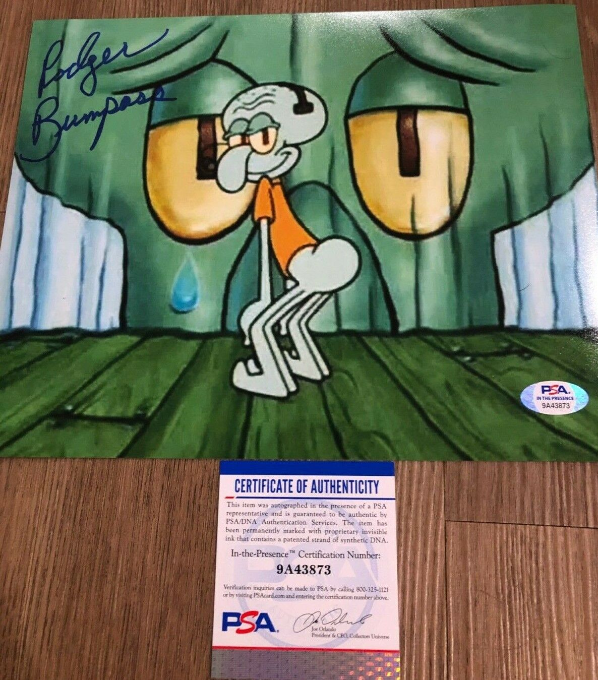 Rodger Bumpass Squidward Spongebob Squarepants Autographed 8x10 Photo Poster painting PSA C