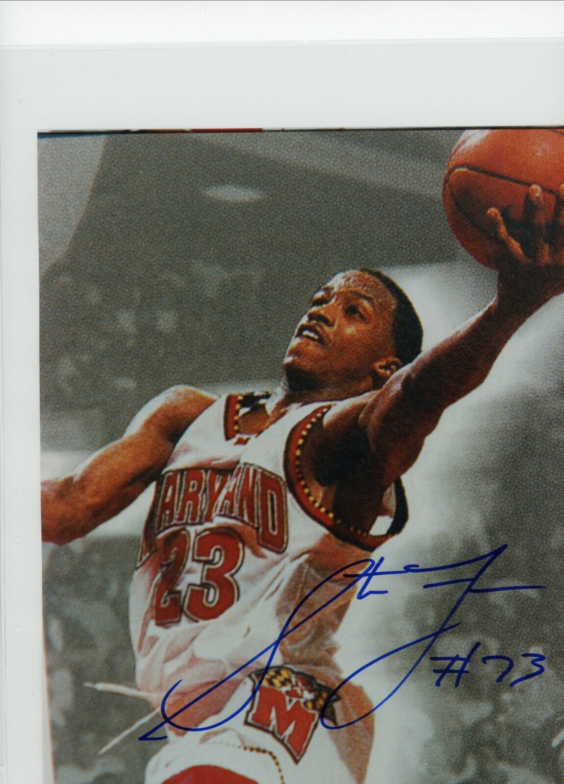 Steve Francis Maryland Terrapins Signed Autographed 8x10 Glossy Photo Poster painting COA