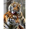 Tiger | Full Round Diamond Painting Kits