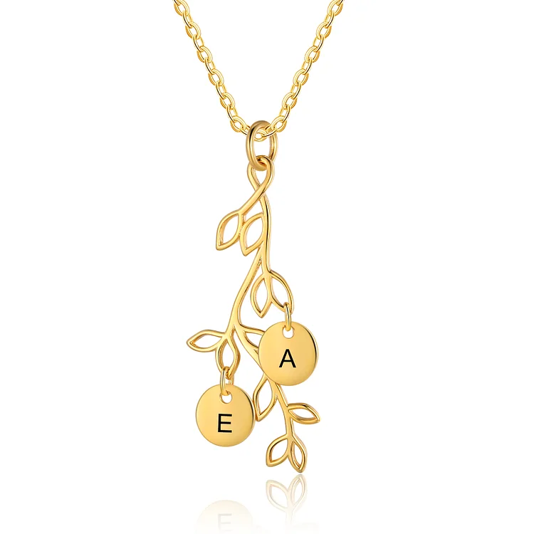 Personalisierte 2 Buchstaben Zweige mit runder Anhänger Golden Halskette