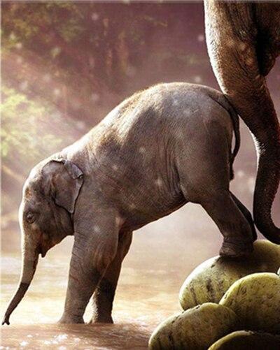 

Baby Elephant – Paint By Numbers - 40*50CM, 501 Original