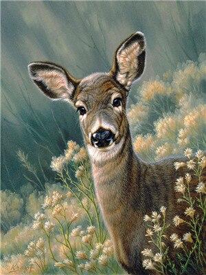 

Autumn Fawn – Deer – Paint By Numbers - 40*50CM, 501 Original