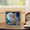 5D DIY Partial Special Shaped Drill Diamond Painting With Frame Kit Owl Decor 19.2x19.2cm