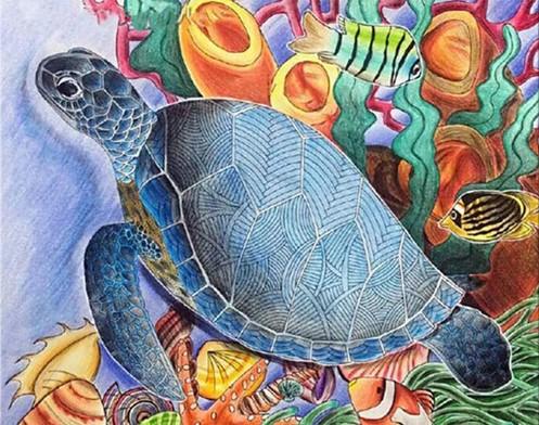 

Sea turtles – Paint By Numbers - 40*50CM, 501 Original