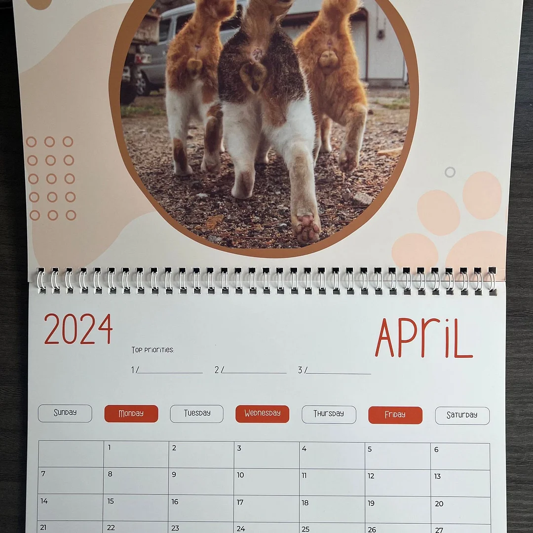 last-day-48-off-cat-balls-calendar-2024