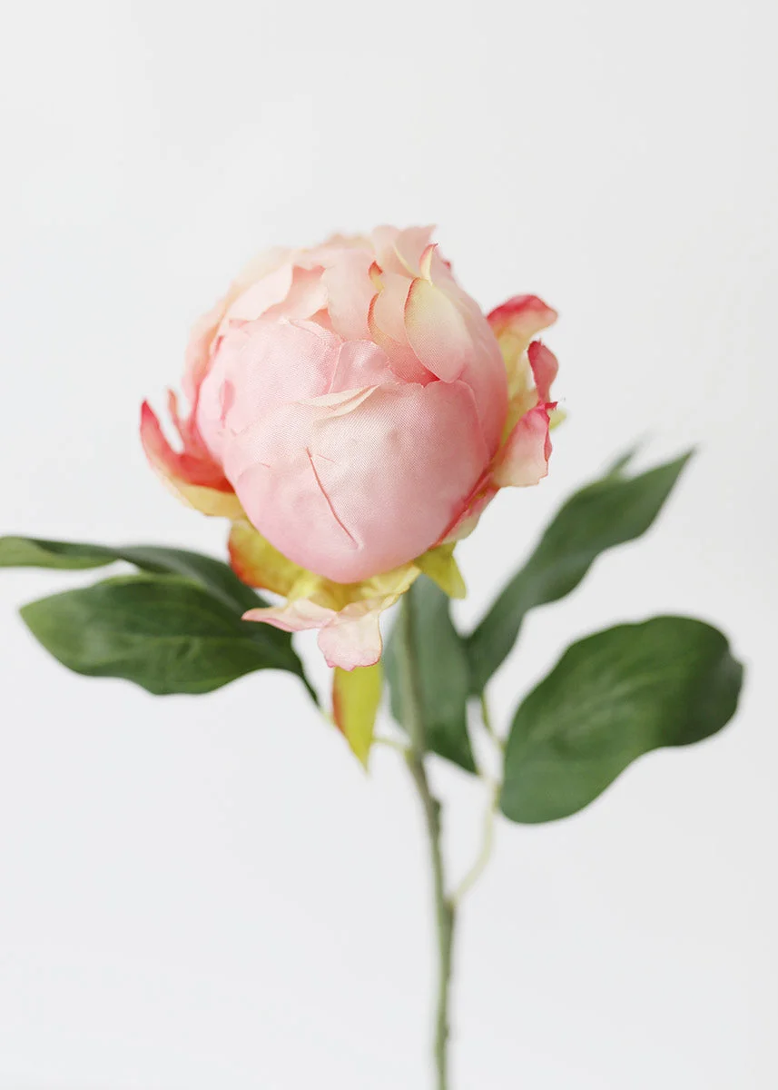 Artificial Flower Pink Peony Bud - 18"