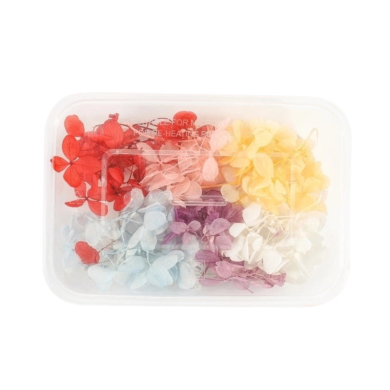 Flower Dried Flower Party Dried Flower