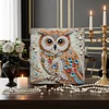 Framed Diamond Painting - Special Shaped - Owl(25x25cm)