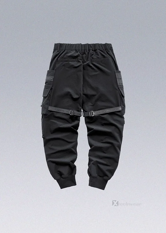 Whyworks 23ss Adjustable Cargo Pants DWR Material Techwear Warcore
