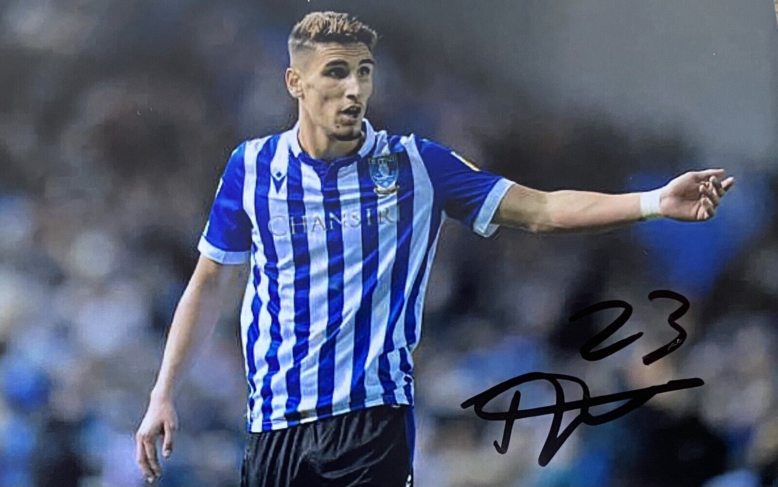 Theo Corbeanu Genuine Hand Signed Sheffield Wednesday 6X4 Photo Poster painting