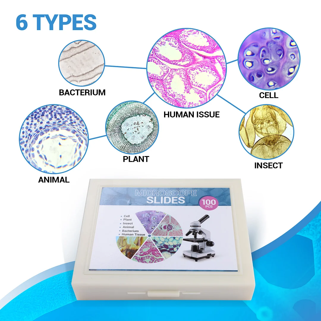 BEBANG 120Pcs Prepared Microscope Slides for Kids, Glass Microscope Slides with Specimens of Insect Plant Animal Bacteria Human Tissue Cell