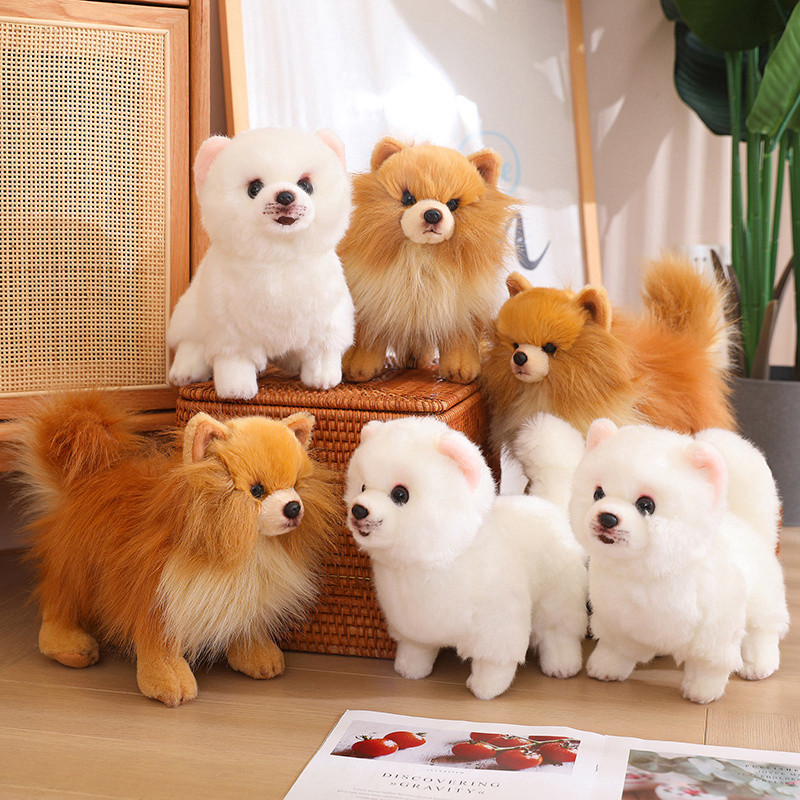 Tegooe Realistic Pomeranian Dog Plush Toy - Soft Stuffed Animal Puppy Doll for Kids