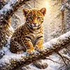 Luxury AB Velvet Diamond Painting Kit - Leopard
