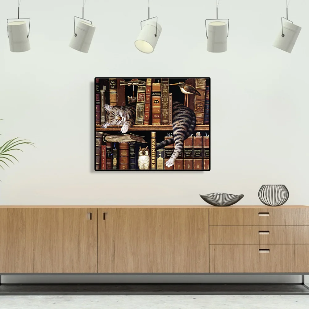 Cat Books - Paint By Number(50*40cm)