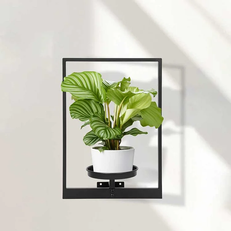 Maximize Space & Style with Our Multifunctional Wall Plant Holder 