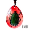 Insect Amber Pendant Natural Butterfly Specimen Insect Amber Necklace Children's Hanging Accessories