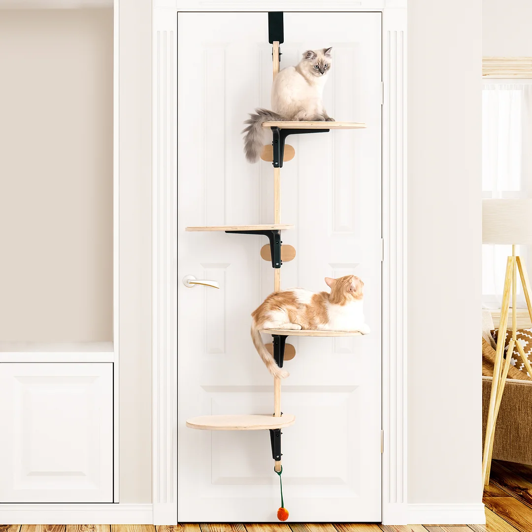 Hanging Cat Climbing Frame Behind The Door