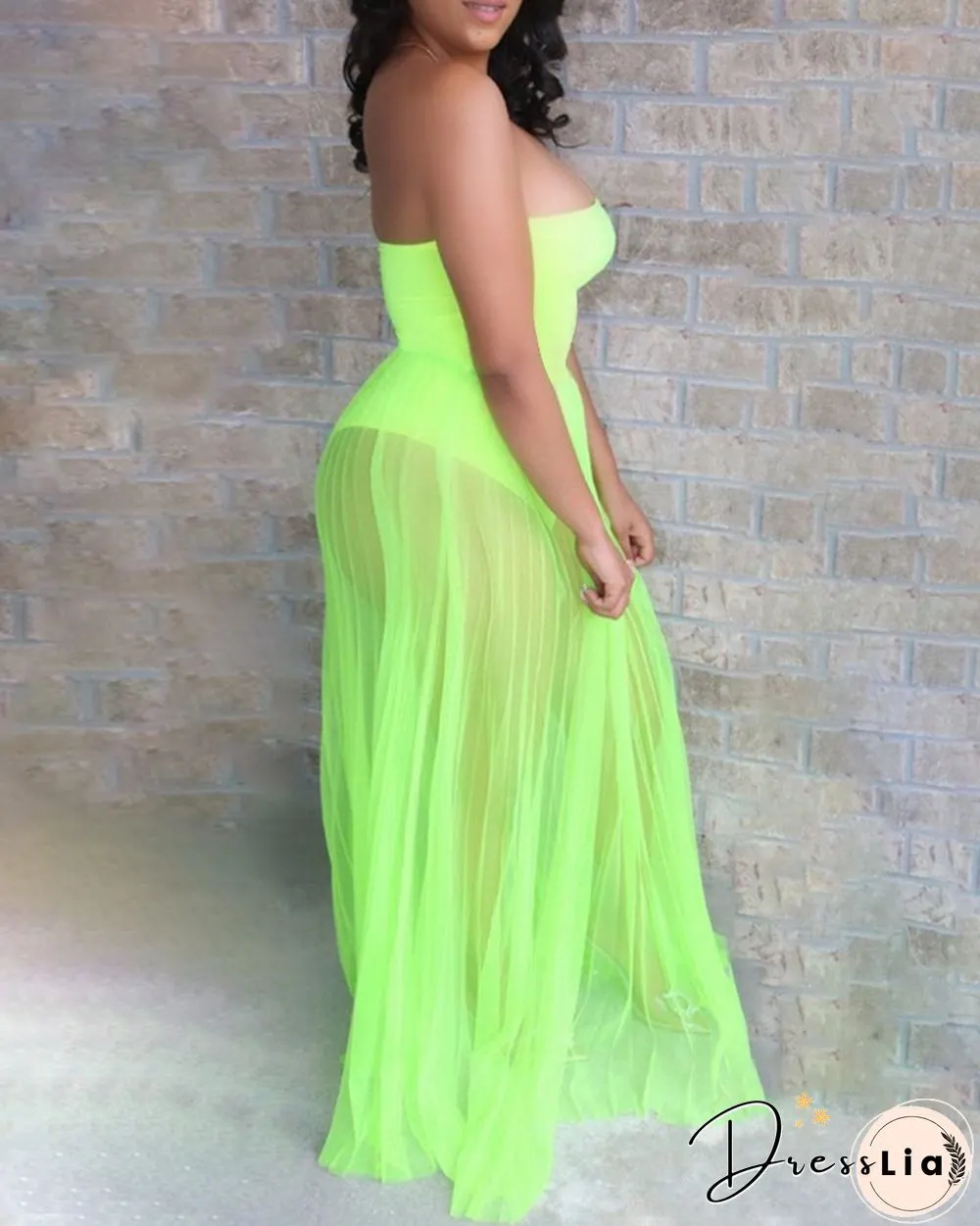 Off Shoulder Sleeveless Plain Sheer Mesh Dress