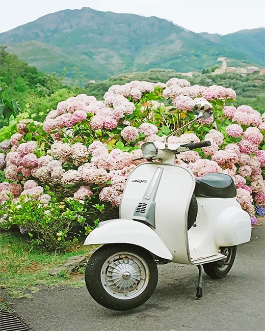 

White Vespa Scooter – Paint By Numbers - 40*50CM, 501 Original