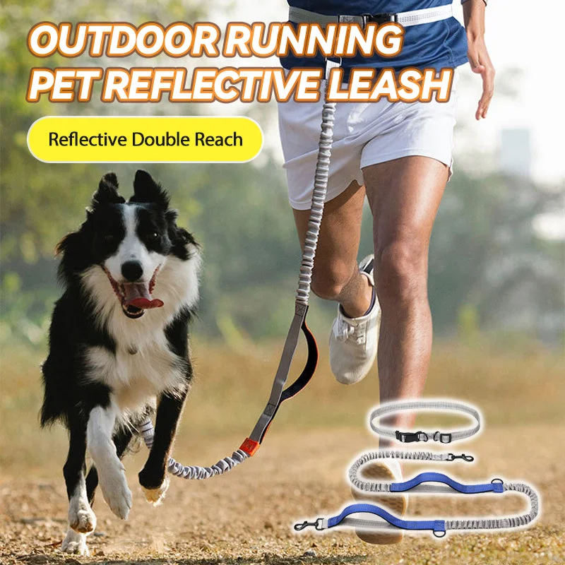 Outdoor Running Pet Reflective Leash