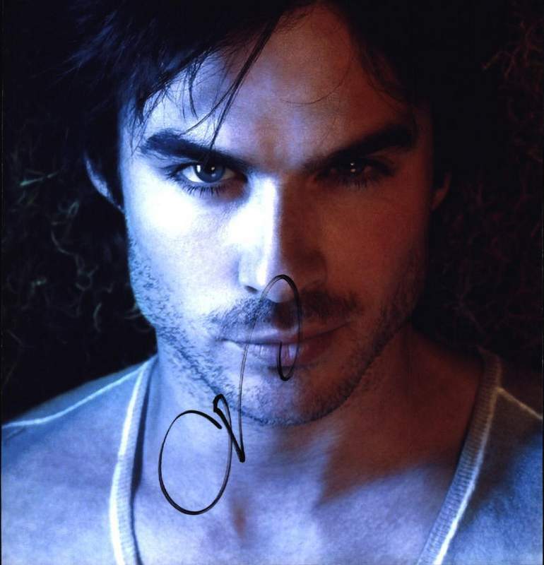 Grey Damon authentic signed celebrity 8x10 Photo Poster painting W/Cert Autograph A0233