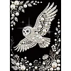 Diamond Painting-DIY Special Shaped Drill Pearl Painting Owl(30x40cm)