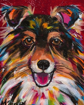 

Colorful Sheepdog – Paint By Numbers - 40*50CM, 501 Original
